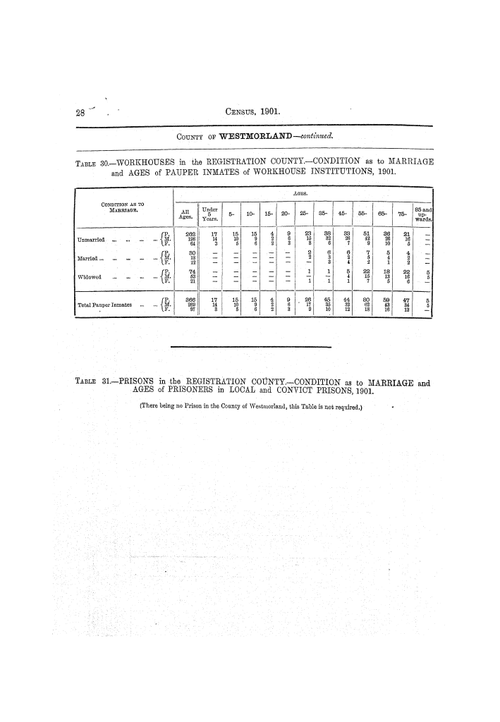 Page 28 Page 28